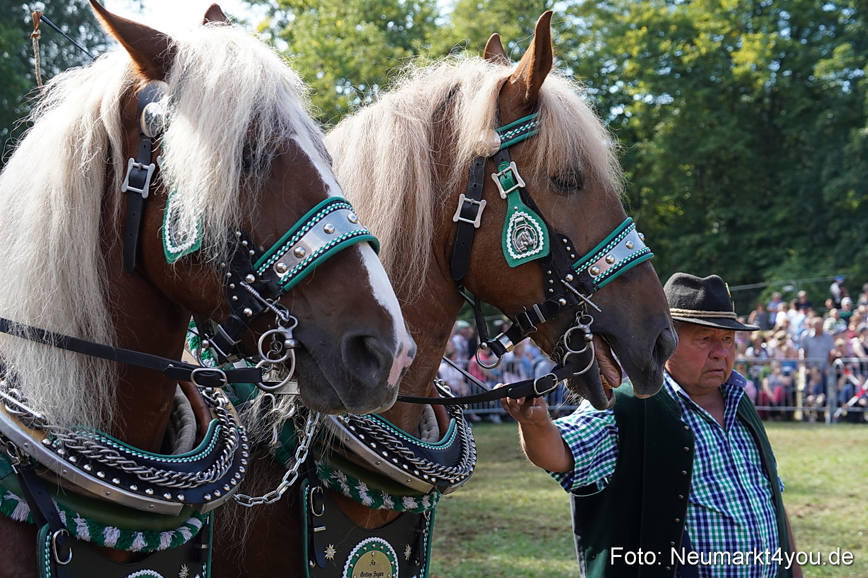 Pferde und Fohlenschau 2022 0184 